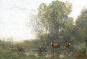 Vaches au marais, le matin