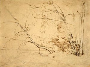 Jean-Baptiste-Camille Corot - Clump of Trees at Civita Castellana