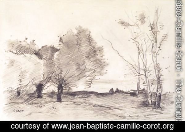 Jean-Baptiste-Camille Corot - Willows and White Poplars