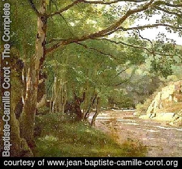 Jean-Baptiste-Camille Corot - Ravine in the Morvan, Near Lormes